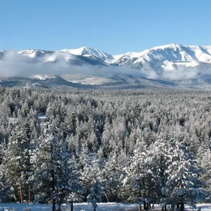 Top 10 Winter Hikes In Cleveland National Forest