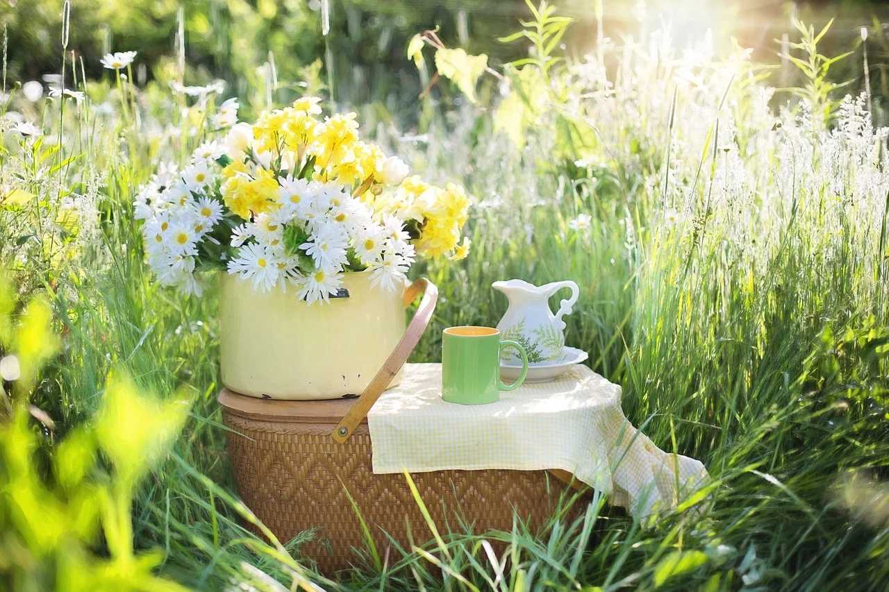 Penny-Pinching Picnics: Budget-Friendly Outdoor Dining Ideas